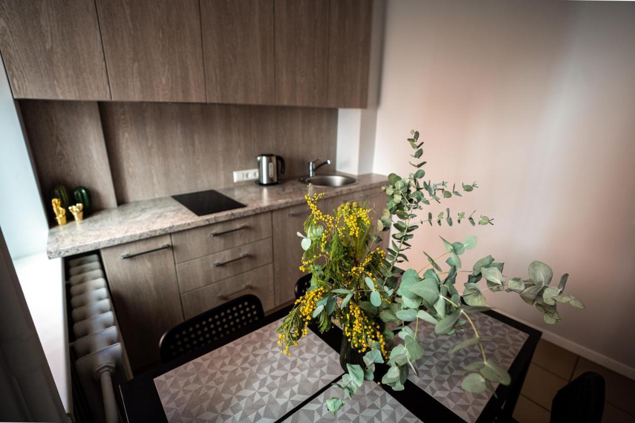 Lovely Apartment In The City Center Kaunas Dış mekan fotoğraf